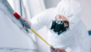 Best Commercial Pest Control  in Gamewell, NC